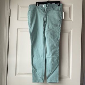 NWT Mint Skinny Jeans